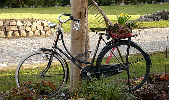 02-blumenrad 02-blumenrad